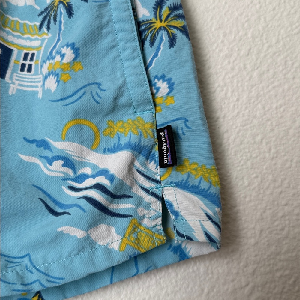 Patagonia Lemon Taco Stand Barley Baggie Shorts - Picture 4 of 7